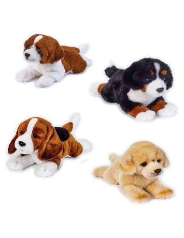 42306 PELUCHE CANI PETS DOG STESI ASSORTITI