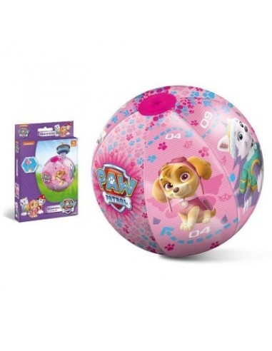 16658 BEACH BALL PAW PATROL