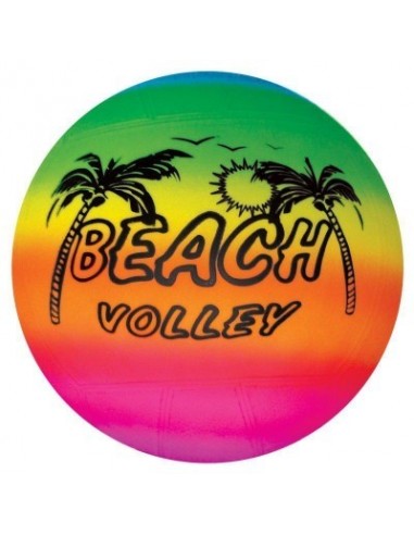 02326 BEACH  VOLLEY COLORATO