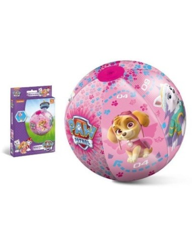 16658 BEACH BALL PAW PATROL